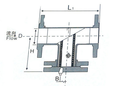 不銹鋼T型過(guò)濾器結(jié)構(gòu)圖